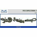 RECSRG72004.1
