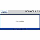 RECSAC81013.1