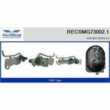 RECSMG73002.1