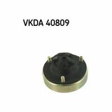 VKDA 40809