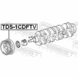 TDS-1CDFTV
