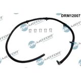 DRM12007