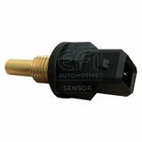 EFI - SENSOR