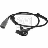 EFI - SENSOR