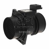 EFI - SENSOR