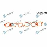 DRM01718