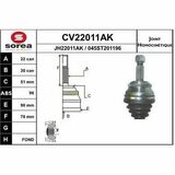 CV22011AK