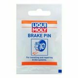 Brake Pin