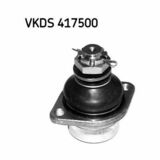 VKDS 417500