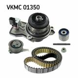 VKMC 01350