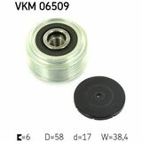 VKM 06509