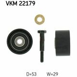 VKM 22179