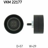VKM 22177