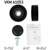 VKM 61053