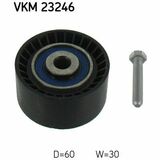VKM 23246