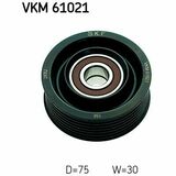 VKM 61021