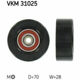 VKM 31025