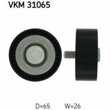 VKM 31065