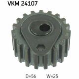 VKM 24107