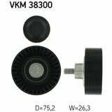 VKM 38300