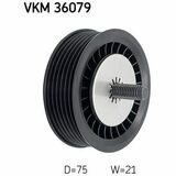 VKM 36079