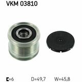 VKM 03810