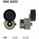 VKM 36055