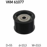 VKM 61077