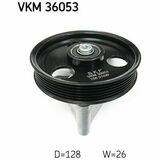 VKM 36053