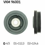 VKM 96001