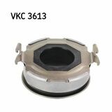 VKC 3613