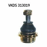 VKDS 313019