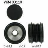 VKM 03110