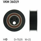 VKM 36019