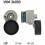 VKM 36050