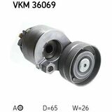 VKM 36069