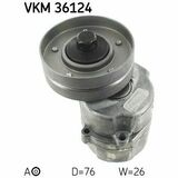 VKM 36124