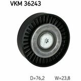 VKM 36243