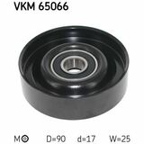 VKM 65066