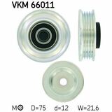 VKM 66011