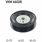 VKM 66028