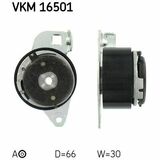 VKM 16501