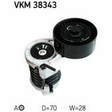 VKM 38343