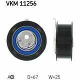VKM 11256