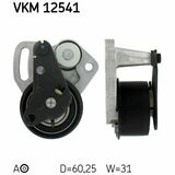 VKM 12541