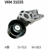 VKM 31035