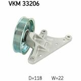 VKM 33206