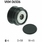 VKM 06506