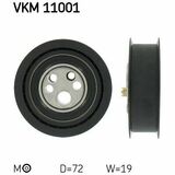 VKM 11001