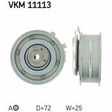 VKM 11113